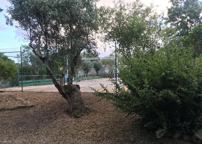 Quinta Do Lagar De Sao Jose Landsted *